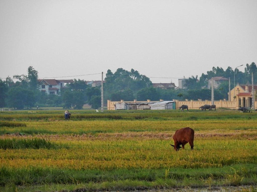 Viet Village Hotel Hanoi Dış mekan fotoğraf